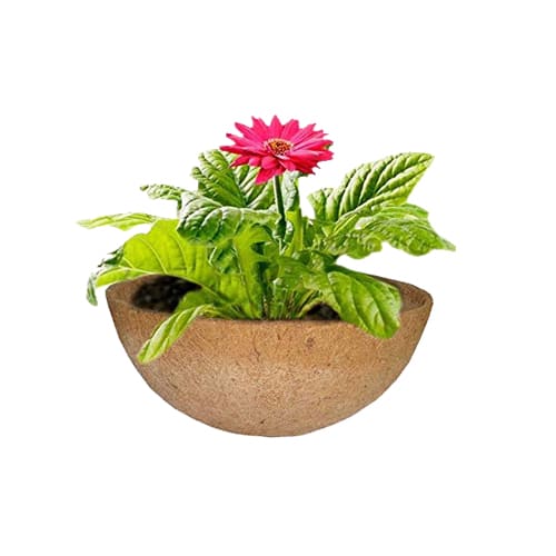 grow rich Coir Liner