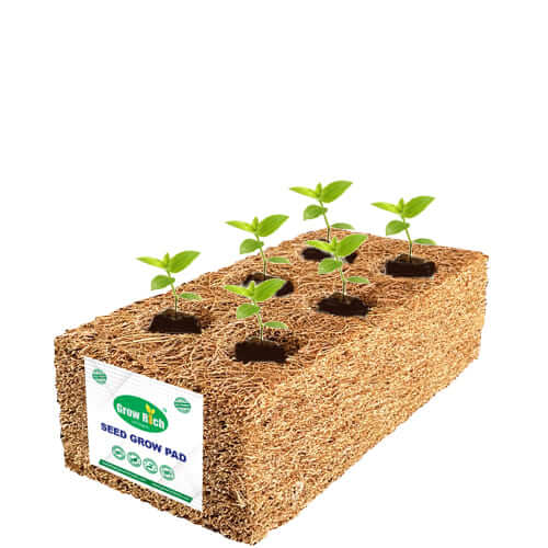 grow rich coir seed grow pad